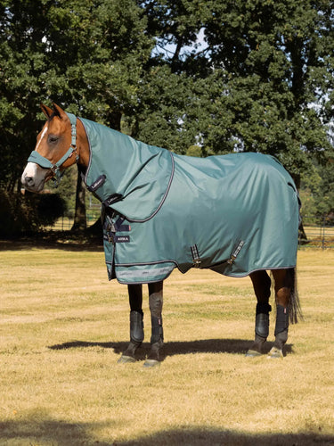 LeMieux Aloe Arika Ripstop 200g Turnout Rug Aloe| Online For Equine