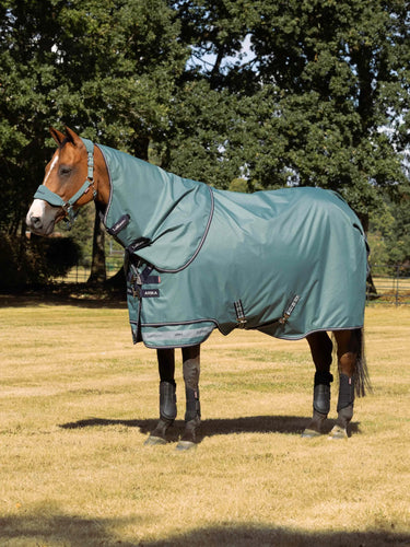 LeMieux Aloe Arika Ripstop 200g Turnout Rug Aloe| Online For Equine