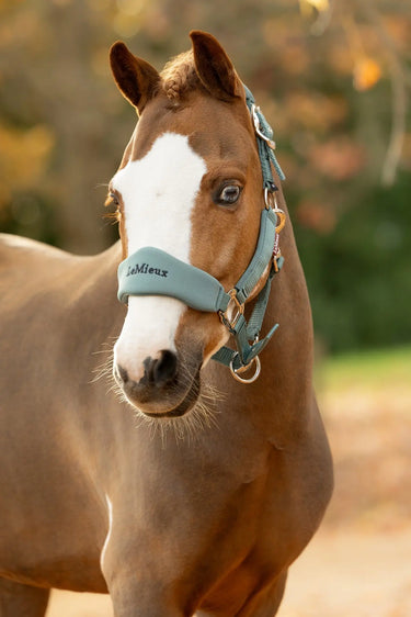 LeMieux Aloe Breakaway Vogue Headcollar & Leadrope Aloe| Online For Equine