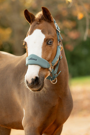 LeMieux Aloe Breakaway Vogue Headcollar & Leadrope Aloe| Online For Equine