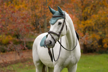 LeMieux Aloe Classic Fly Hood Aloe| Online For Equine