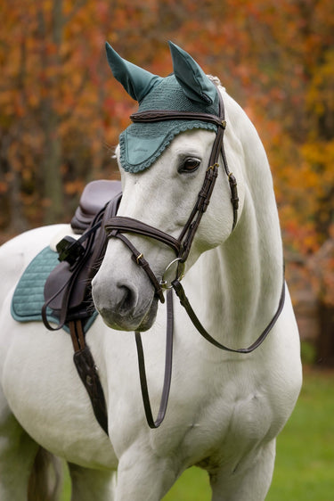 LeMieux Aloe Classic Fly Hood Aloe| Online For Equine