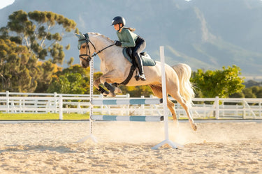 LeMieux Aloe Merino+ Suede Classic Close Contact Square Aloe| Online For Equine