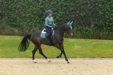LeMieux Aloe Merino+ Suede Classic Close Contact Square Aloe| Online For Equine