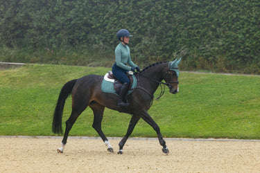 LeMieux Aloe Merino+ Suede Classic Close Contact Square Aloe| Online For Equine