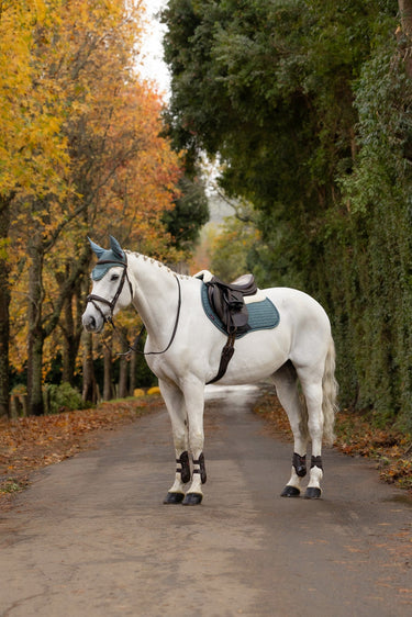 LeMieux Aloe Merino+ Suede Classic Close Contact Square Aloe| Online For Equine