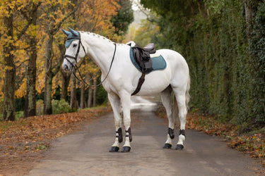 LeMieux Aloe Merino+ Suede Classic Close Contact Square Aloe| Online For Equine