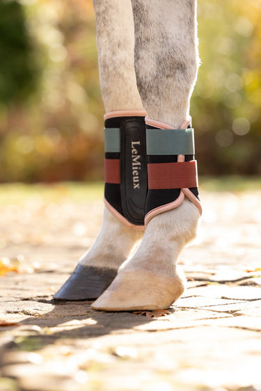 LeMieux Aloe/Spiced Earth Air-Tek Grafter Brushing Boots Aloe/Spiced Earth| Online For Equine
