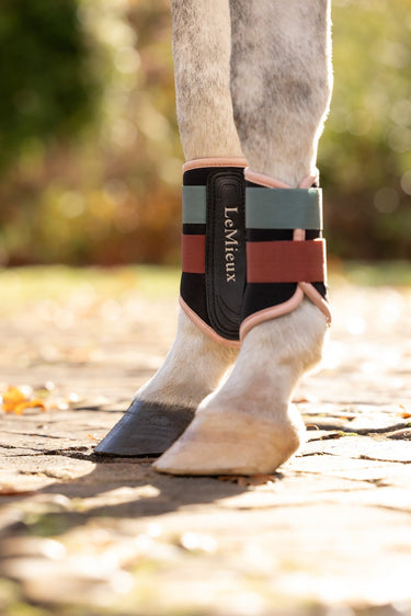 LeMieux Aloe/Spiced Earth Air-Tek Grafter Brushing Boots Aloe/Spiced Earth| Online For Equine