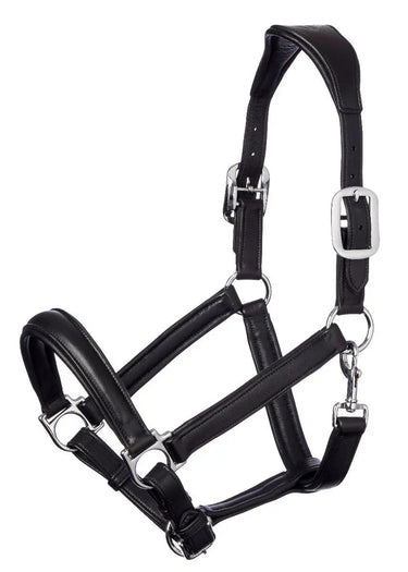 Buy LeMieux Anatomical Leather Headcollar| Online for Equine