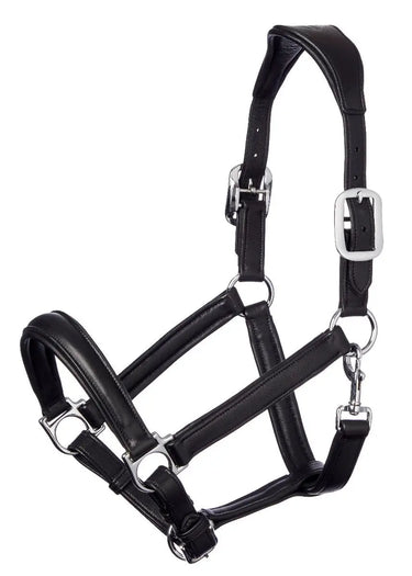 Buy LeMieux Anatomical Leather Headcollar| Online for Equine