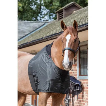 Buy LeMieux Anti Rub Bib| Online for Equine