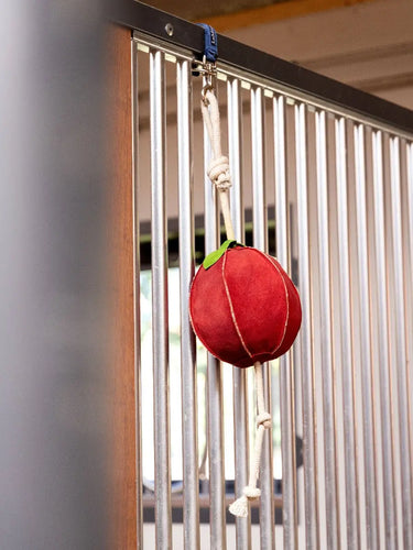 Buy LeMieux Apple Horse Toy| Online for Equine