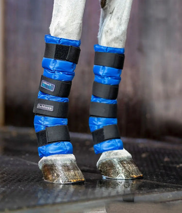 Buy LeMieux Arctic Ice Boots| Online for Equine