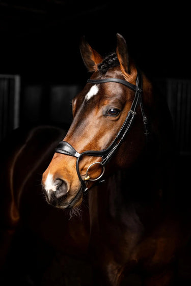 LeMieux Arika Adjustable Anatomic Noseband Bridle Black/Silver| Online For Equine