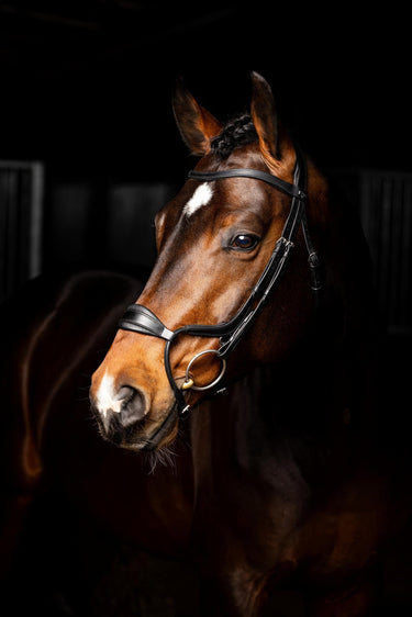 LeMieux Arika Adjustable Anatomic Noseband Bridle Black/Silver| Online For Equine