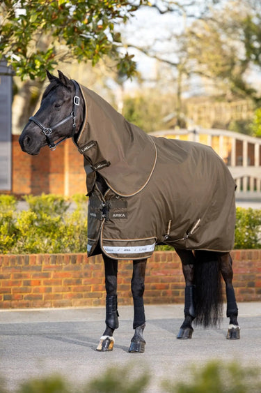 LeMieux Arika Alpine Ripstop 0g Turnout Rug| Online For Equine