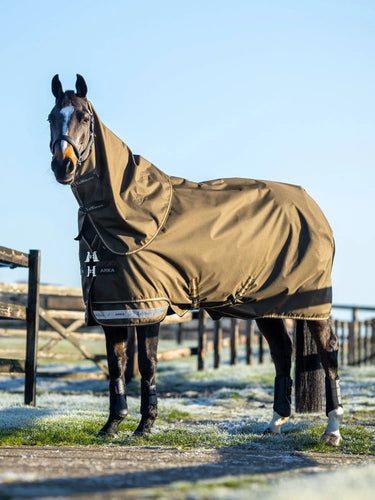 LeMieux Arika Alpine Ripstop 100g Turnout Rug| Online For Equine