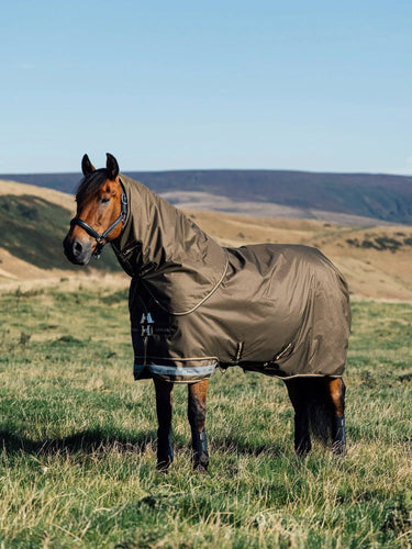 Buy LeMieux Arika Alpine Ripstop 200g Turnout Rug| Online for Equine