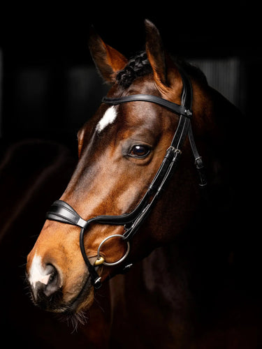 LeMieux Arika Anatomic Adjustable Noseband Bridle| Online For Equine