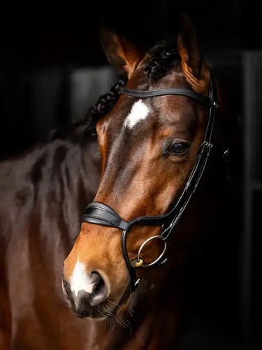 LeMieux Arika Anatomic Adjustable Noseband Bridle| Online For Equine