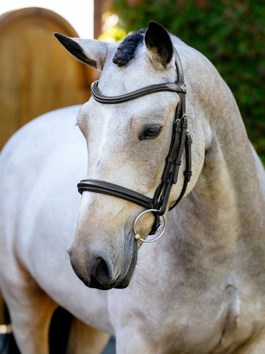 LeMieux Arika Anatomic Brown / SIlver Cavesson Bridle| Online For Equine