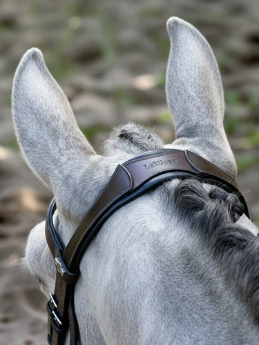 LeMieux Arika Anatomic Brown / SIlver Cavesson Bridle| Online For Equine