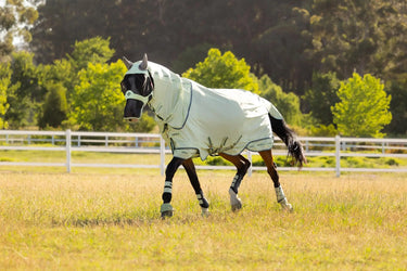 LeMieux Arika Armour-Tek Fly Rug Macaron| Online For Equine