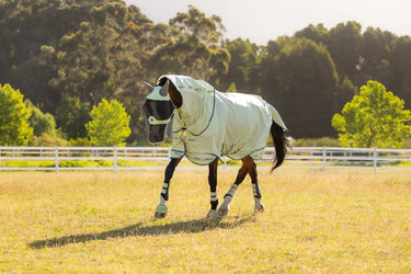 LeMieux Arika Armour-Tek Fly Rug Macaron| Online For Equine