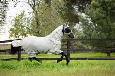 LeMieux Arika Armour-Tek Fly Rug Stone| Online For Equine
