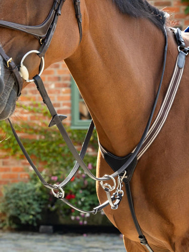 LeMieux Arika Brown/Silver Elasticated Breastplate| Online For Equine
