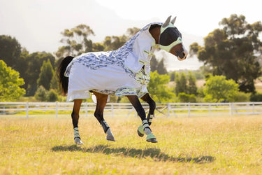 LeMieux Arika Camo-Tek Fly Rug Macaron| Online For Equine