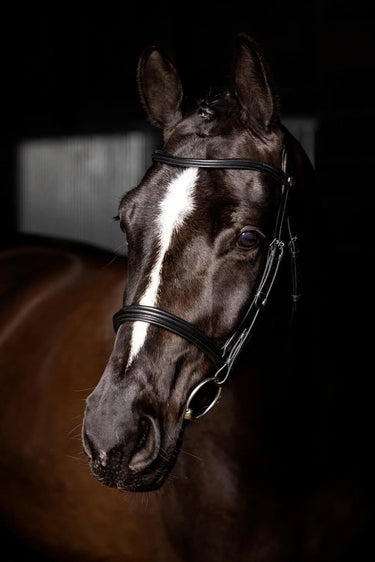 LeMieux Arika Cavesson Bridle Black/Silver| Online For Equine