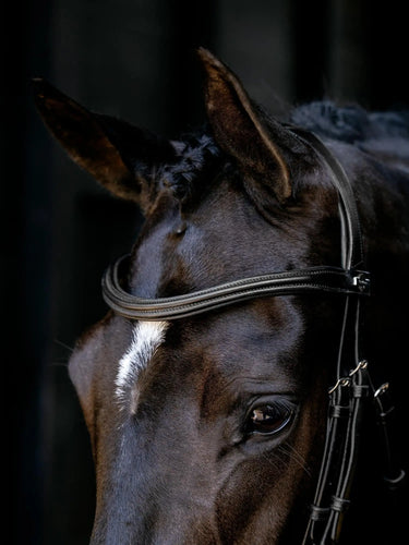 LeMieux Arika Cavesson Bridle Black/Silver| Online For Equine