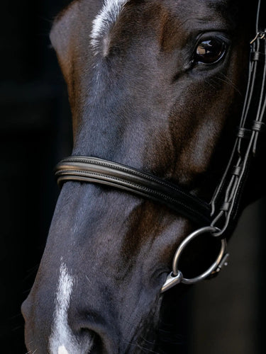 LeMieux Arika Cavesson Bridle Black/Silver| Online For Equine