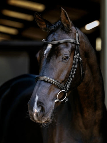 LeMieux Arika Cavesson Bridle Black/Silver| Online For Equine