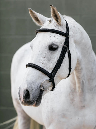 LeMieux Arika Classique Cavesson Bridle Black| Online For Equine