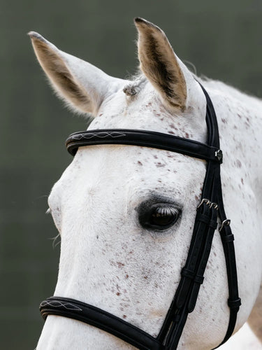 LeMieux Arika Classique Cavesson Bridle Black| Online For Equine