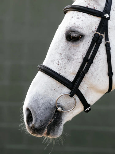 LeMieux Arika Classique Cavesson Bridle Black| Online For Equine