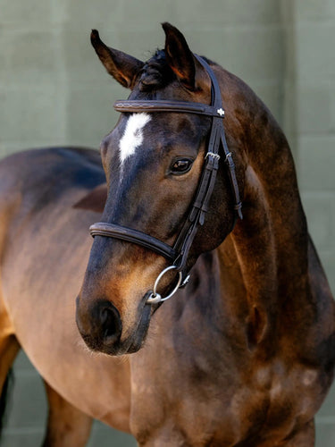 LeMieux Arika Classique Cavesson Bridle Brown| Online For Equine