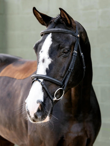 LeMieux Arika Classique Flash Bridle Black| Online For Equine