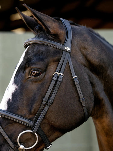 LeMieux Arika Classique Flash Bridle Black| Online For Equine