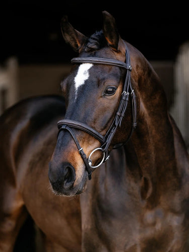 LeMieux Arika Classique Flash Bridle Brown| Online For Equine