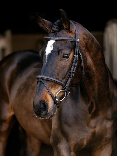 LeMieux Arika Classique Flash Bridle Brown| Online For Equine