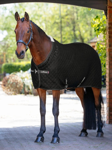 LeMieux Arika Clima-Tek Rug Black| Online For Equine