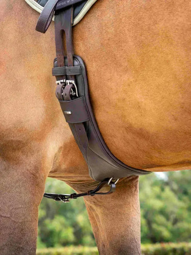 LeMieux Arika Contoured Dressage Girth Brown| Online For Equine