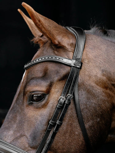 LeMieux Arika Dressage Bridle Black/Silver| Online For Equine