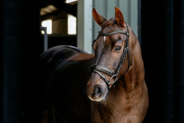 LeMieux Arika Dressage Bridle Black/Silver| Online For Equine