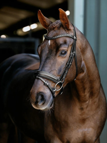 LeMieux Arika Dressage Bridle Black/Silver| Online For Equine