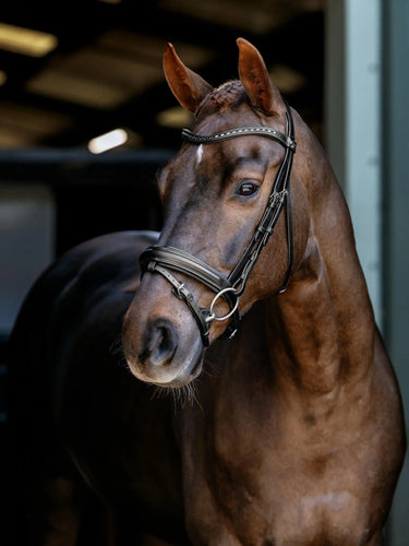 LeMieux Arika Dressage Bridle Black/Silver| Online For Equine